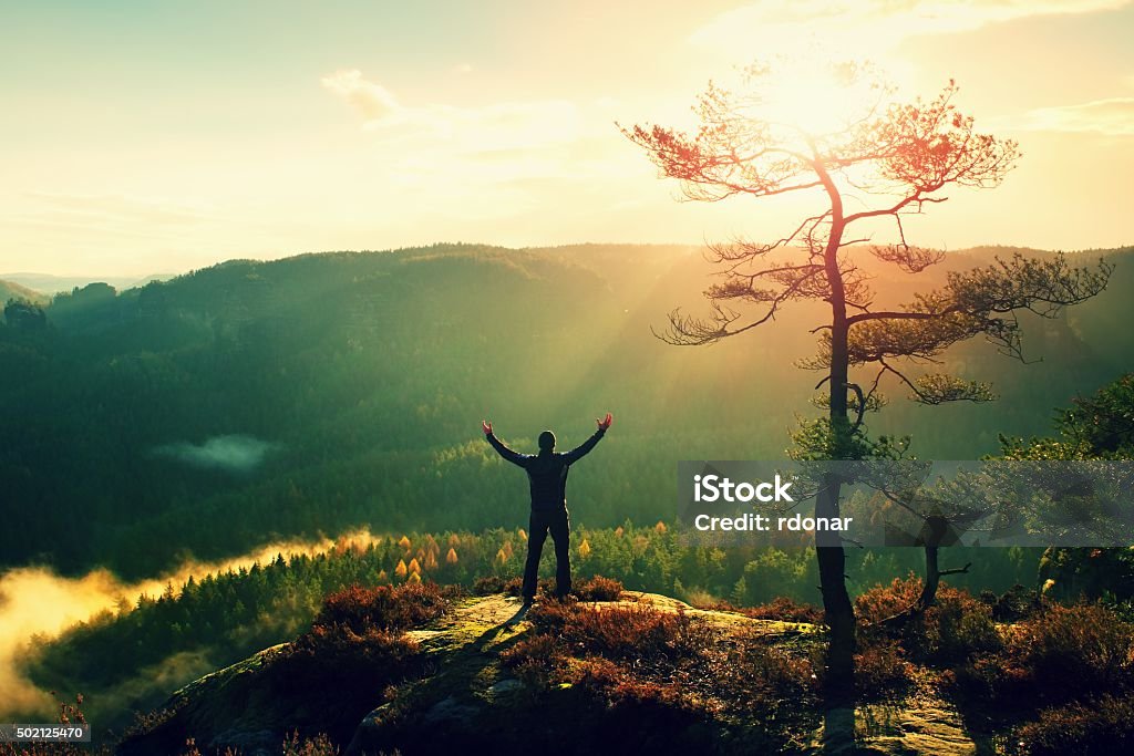 Sunny morning. Happy hiker with hands in air bellow tree Sunny morning. Happy hiker with hands in the air stand on rock bellow pine tree. View over misty and foggy morning valley to Sun. 2015 Stock Photo