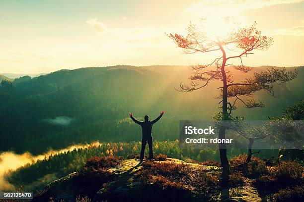 Sunny Morning Happy Hiker With Hands In Air Bellow Tree Stock Photo - Download Image Now