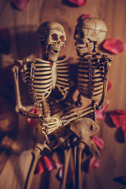 istock Skeleton holding hand for eternal love. Selective focus on hand 502128342