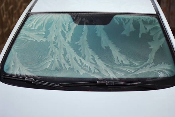 Beautiful, flower like frost on a whindshiel of a car