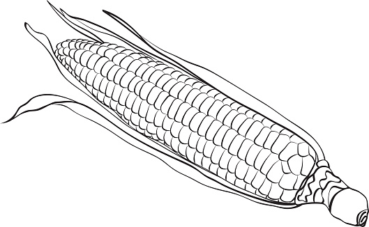 Simple Lines Banana Stock Illustration - Download Image Now - Corn, Corn -  Crop, Black And White - iStock