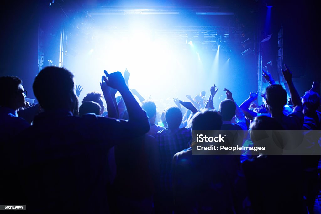 Captivated by the music A crowd of people cheering the band on sthttp://195.154.178.81/DATA/i_collage/pi/shoots/782423.jpg Adult Stock Photo