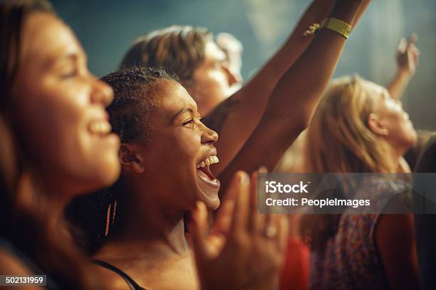 The Best Fans A Band Could Want Stock Photo - Download Image Now - Performance, Music Festival, Crowd of People