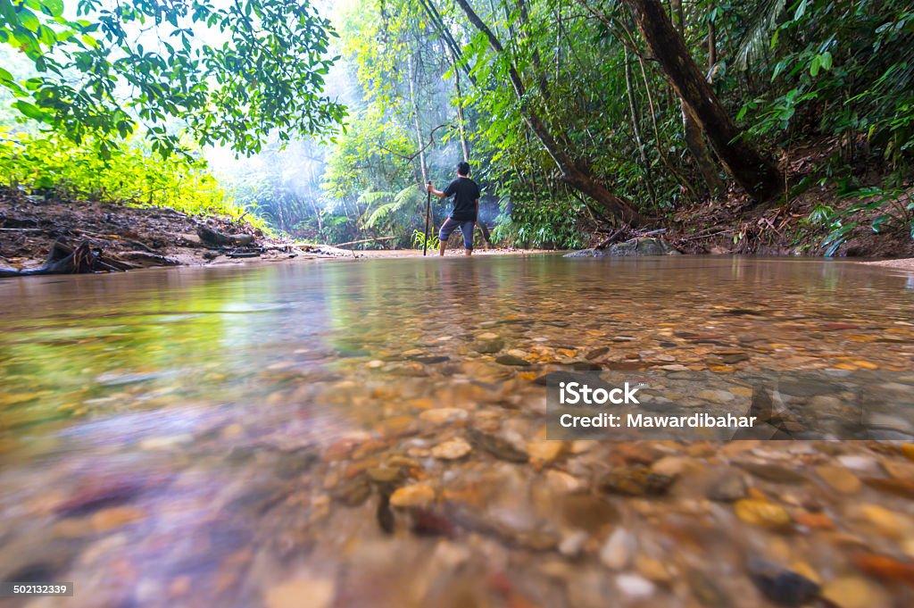 Water stream Water stream at tropical forest Autumn Stock Photo