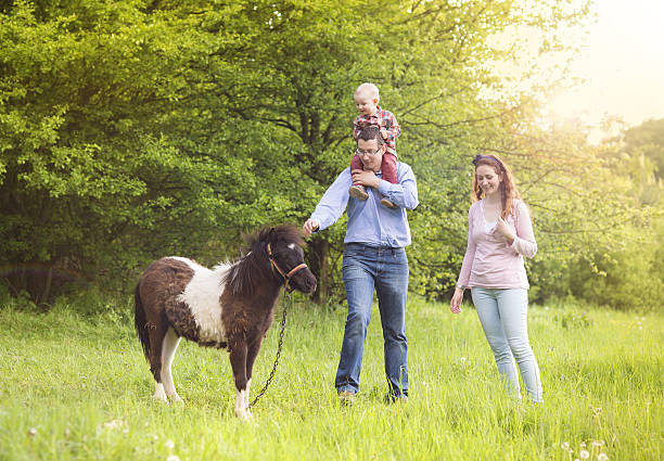 szczęśliwa rodzina - ponny zdjęcia i obrazy z banku zdjęć