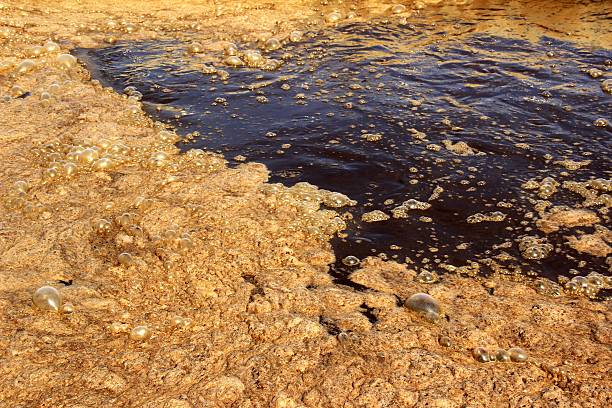 하수 용수 처리 - tsukubai sewage treatment plant water sewer 뉴스 사진 이미지