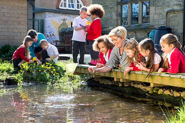 istock Outdoor Lesson On Pond Life 502135893
