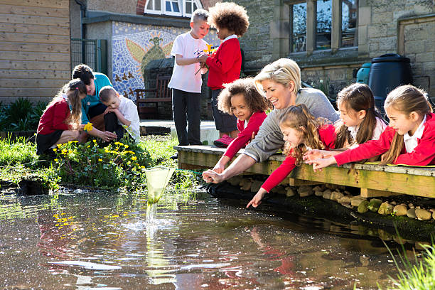 istock Outdoor Lesson On Pond Life 502135895
