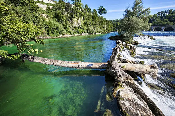 Green waters of Rhein river on Rheinfall at Neuhausen, Schaffhausen, Switzerland