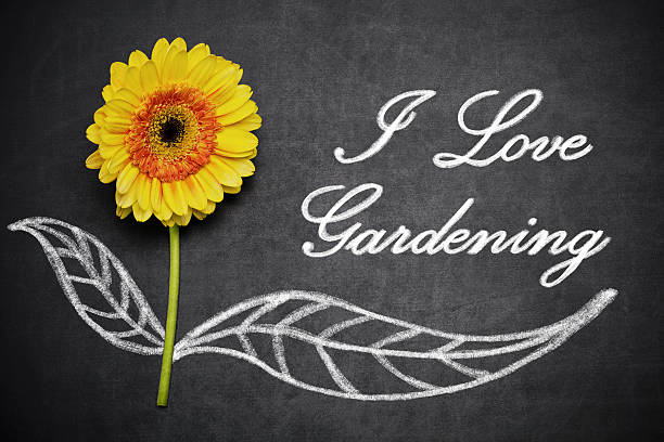 istock I Love Gardening 502147936