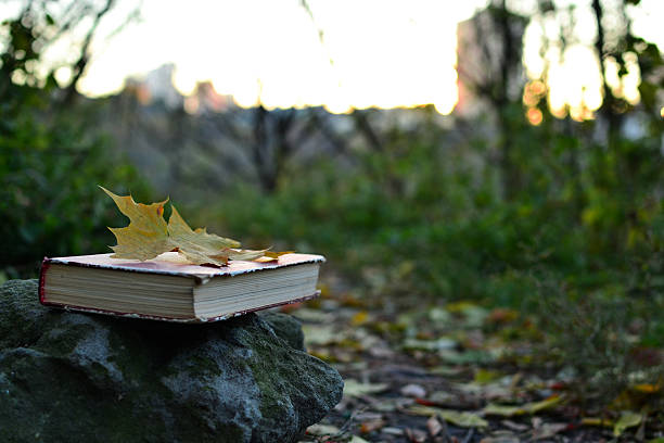 ビンテージ屋外でのご予約 - footpath autumn stone old ストックフォトと画像