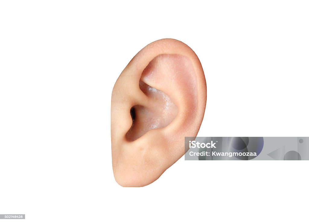 Human ear closeup Human ear closeup isolated on white background Ear Stock Photo