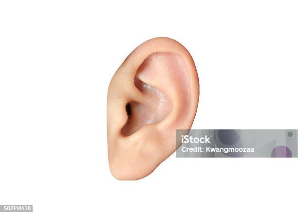 Human Ear Closeup Stock Photo - Download Image Now - Ear, Cut Out, White Background