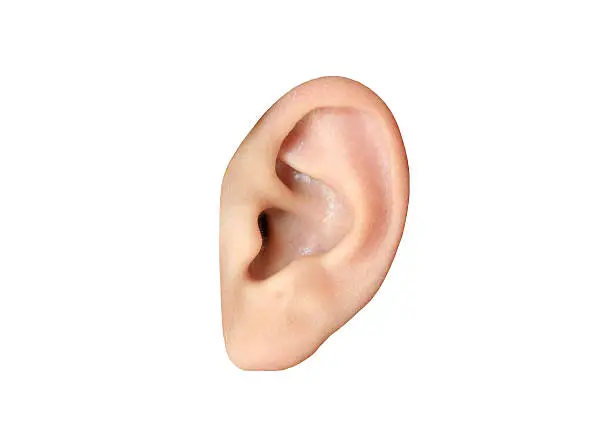 Human ear closeup isolated on white background