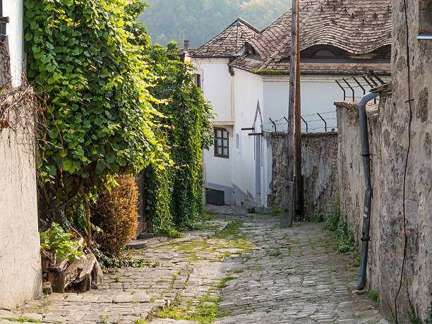 istock Szentendre, small town in Hungary 502150934
