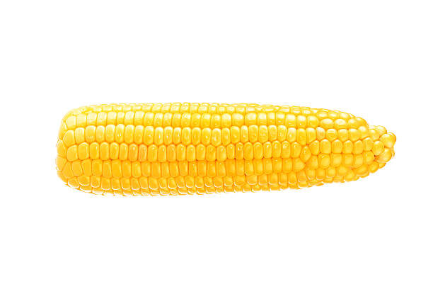 один на ухо кукуруза изолированные на белом фоне - corn on the cob стоковые фото и изображения