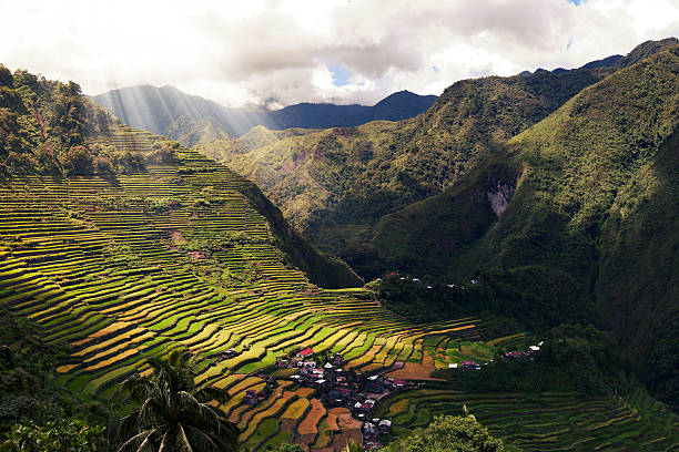 banaue terrazze di riso - ifugao foto e immagini stock