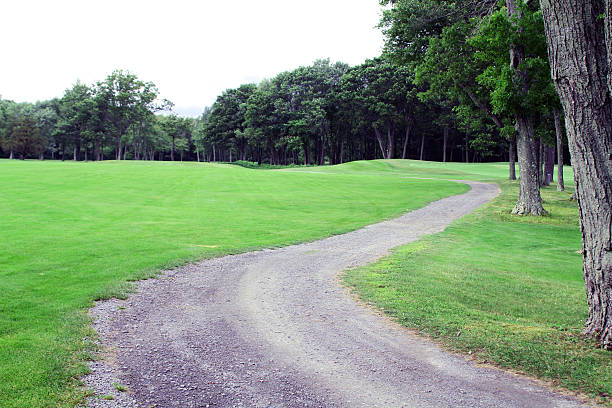istock Winding dirt road with green grass 502155733