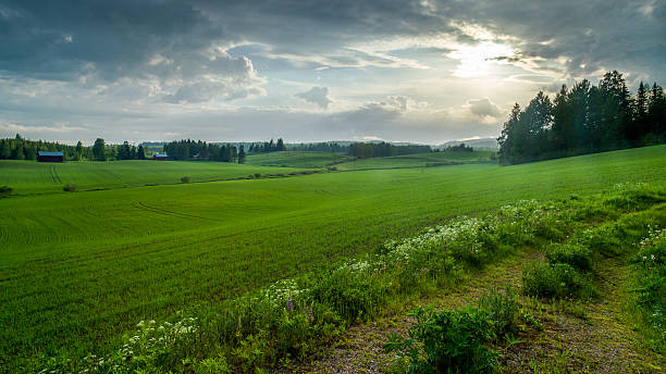 Countryside in Finland stock photo