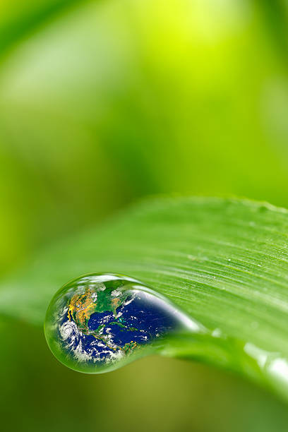 istock leaf with rain droplets - Recovery earth concept 502157908