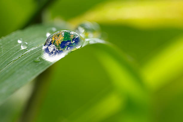 istock leaf with rain droplets - Recovery earth concept 502158004