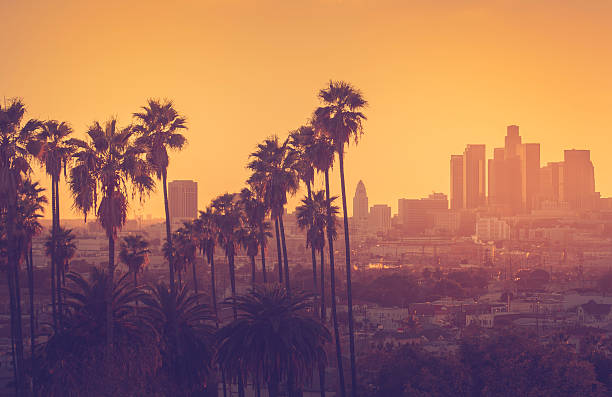 istock Downtown Los Angeles photographed at sunset 502158501