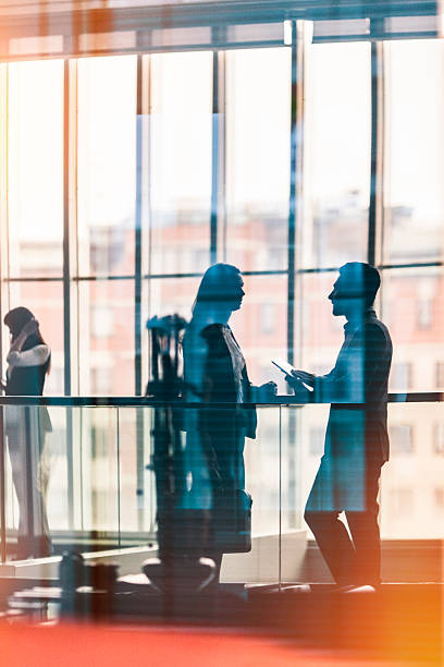 istock Two business people talking in the lobby 502160870