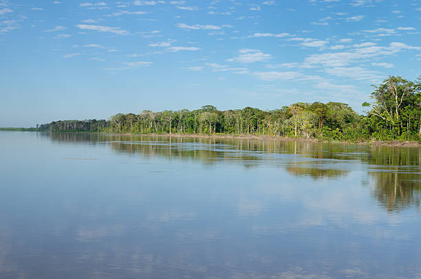 istock Amazon river landscape in Brazil 502161033