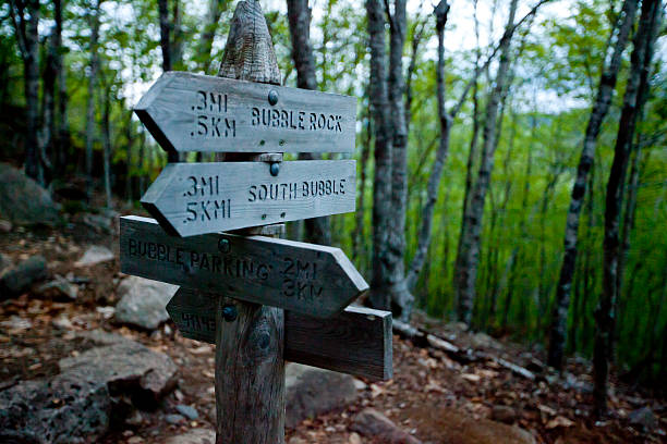 istock Bubble Rock direction sign at Acadia National Park 502161441