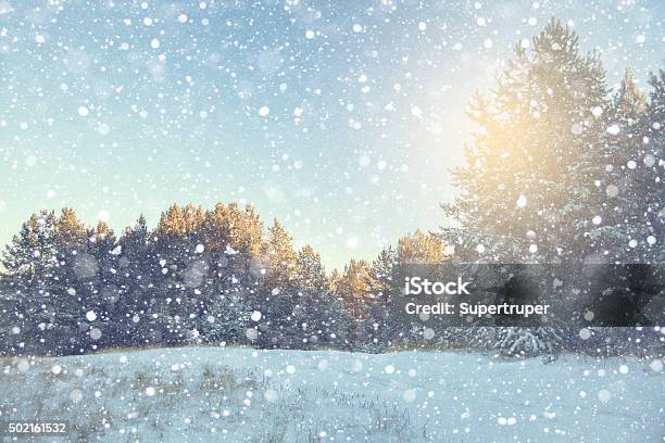 Winter Landscape Stock Photo - Download Image Now - 2015, Backgrounds, Christmas