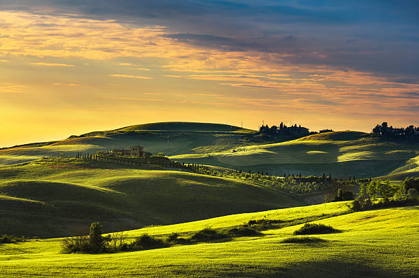 istock Tuscany spring, rolling hills on sunset. Rural landscape. Green 502161802
