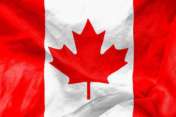 istock Canadian Flag 502161825