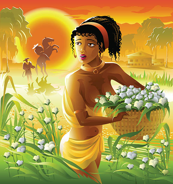 black woman slave on a cotton plantation. black woman slave on a cotton plantation with a basket in her hands. Vector illustration. slave plantation stock illustrations
