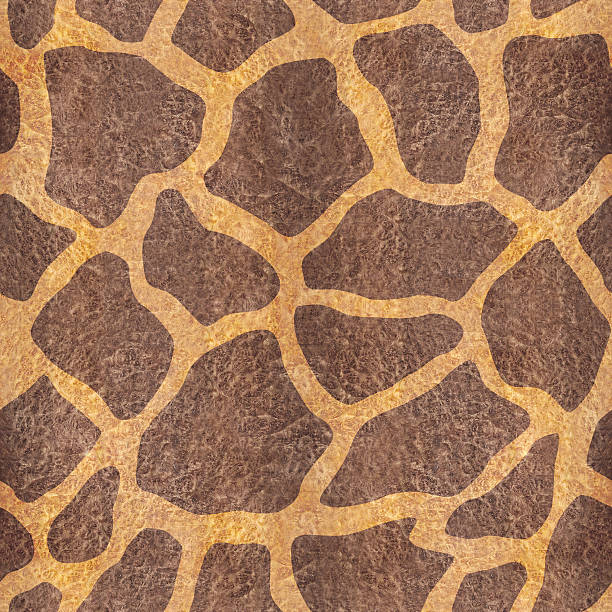 decorativo padrão de fundo sem costura girafa - giraffe print imagens e fotografias de stock