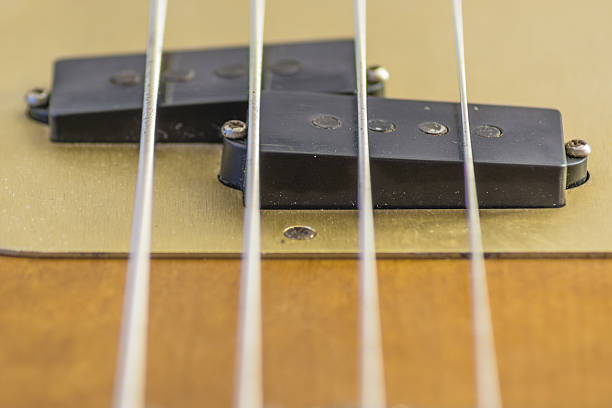 istock Electric bass pickups 502181864