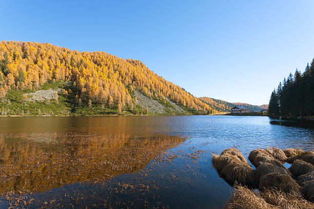 istock Reflections on water, autumn panorama from mountain lake 502184330