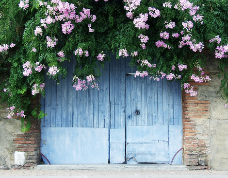 Blue Garage Doors covered with Flowers in a Small French Town in the South of France