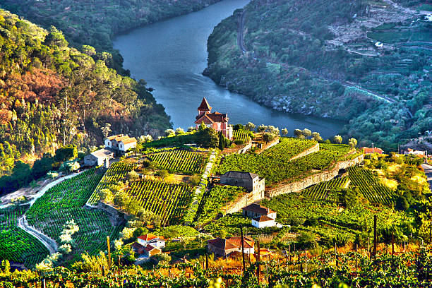 valle del douro - valle foto e immagini stock