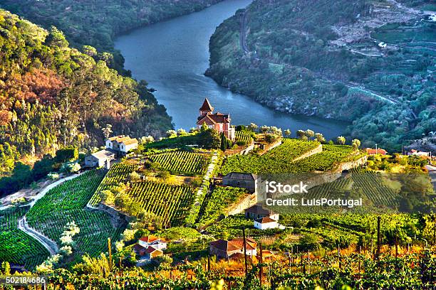 Douro Valley Stock Photo - Download Image Now - Douro River, Portugal, Douro Valley