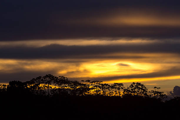 istock Colorful sunset on the river Amazon in the rainforest, Brazil 502186694
