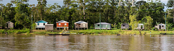 maisons sur pilotis en bois le long du fleuve amazone - rainforest brazil amazon river amazon rainforest photos et images de collection