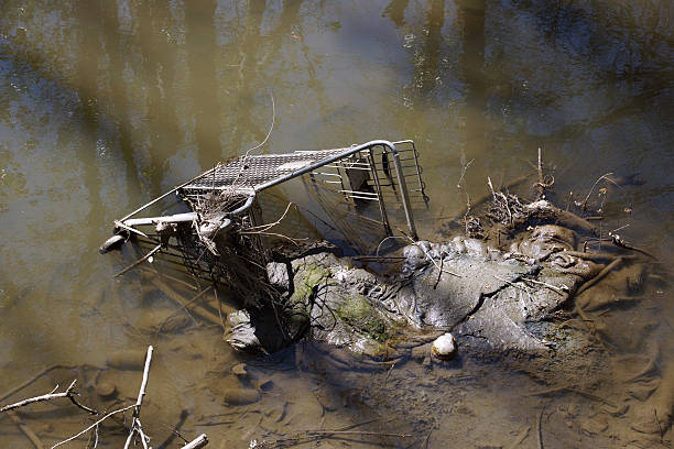 Two abandoned shopping carts on field trip in the park