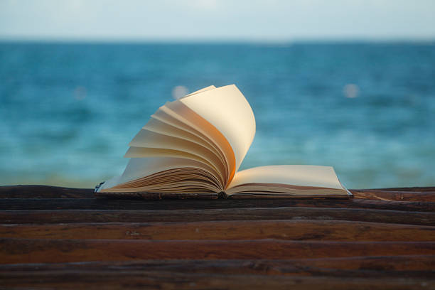 istock Noteook flipping pages by the sea 502189592