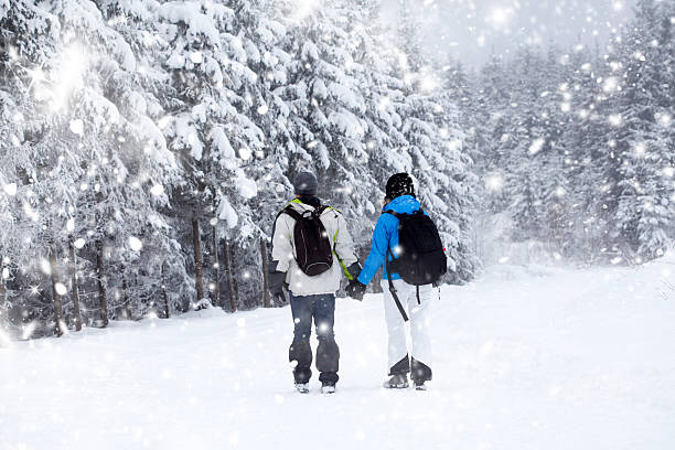 istock Hikers in the mountains 502189760