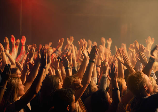 istock Big turnout at the concert 502191969