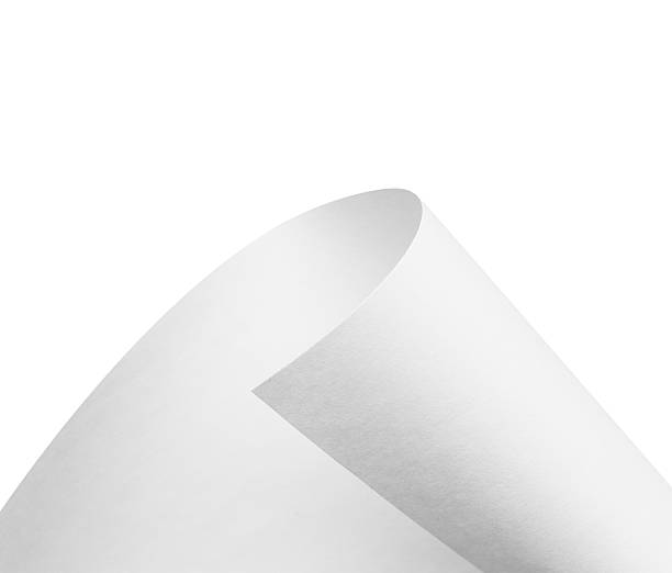 istock Roll of blank paper 502192225