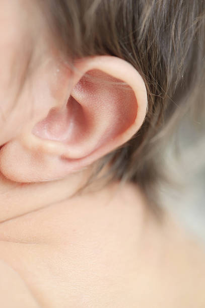 istock Closeup of Baby Ear 502193496