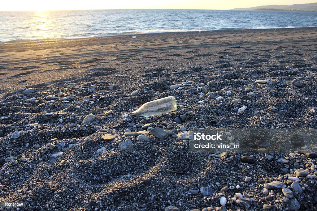 Glass Bottle on Beach Animals In The Wild Stock Photo