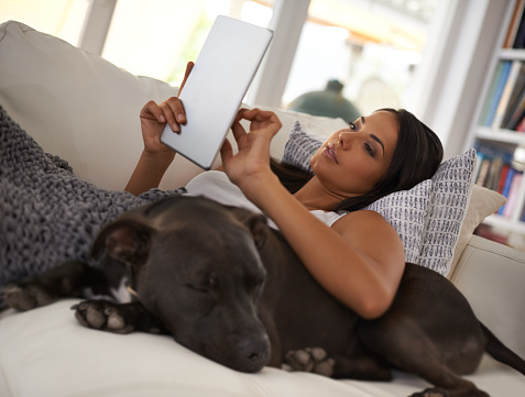 Shot of an attractive young woman relaxing on the sofa with her dog and using a digital tablethttp://195.154.178.81/DATA/i_collage/pi/shoots/783733.jpg