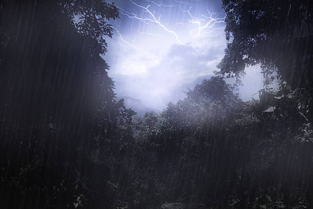 Mother nature's mood